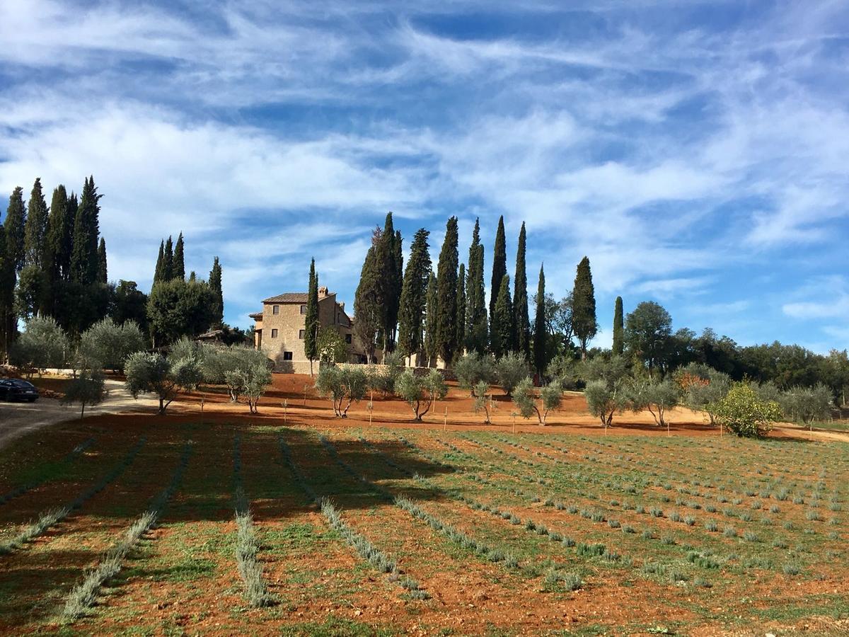 La Tenuta Di Castelvecchio Vakantieboerderij *